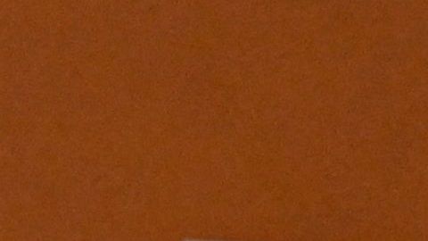 US dollar notes are photographed in Buenos Aires, on June 23, 2022. - Argentines do their accounts in dollars, traumatised by recurrent economic crises and tormented by the inflation that is eating away at their pockets and is projected to exceed 60% this year. (Photo by Luis ROBAYO / AFP) (Photo by LUIS ROBAYO/AFP via Getty Images)