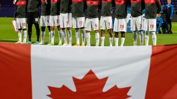 La selección canadiense debutará contra Bélgica el 23 de noviembre.