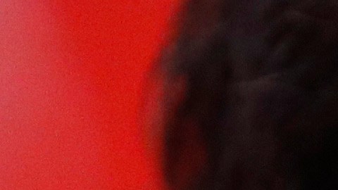 Fernando Hierro, director deportivo de las Chivas de Guadalajara.