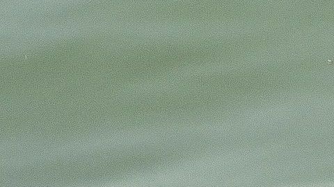 A Scuba diver joins in conducting search operations on November 1, 2022, days after a bridge across the river Machchhu collapsed on October 30, 2022, at Morbi in Indias Gujarat state. - Rescue divers were still searching for more bodies in the Machchhu river on November 1, with 134 people confirmed dead -- among them 47 children. (Photo by SAM PANTHAKY / AFP) (Photo by SAM PANTHAKY/AFP via Getty Images)