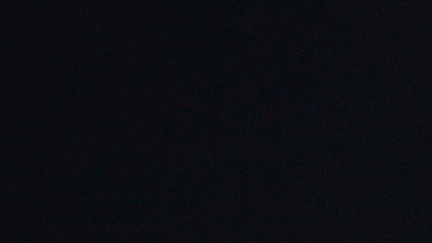Carlos Vela, delantero mexicano de LAFC.