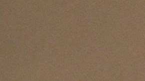 Los estadounidenses comienzan a votar este 8 de noviembre.