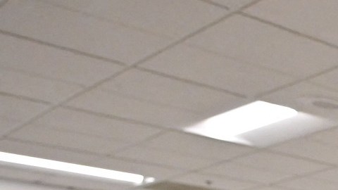 Además de tres posiciones en la Cámara, el Senado tendrá una votación de desempate.