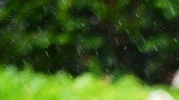 People drop off their ballots for the 2022 Midterm Elections in the rain at a ballot box outside the Los Angeles County Registrar in Norwalk, California on November 8, 2022. (Photo by Frederic J. BROWN / AFP) (Photo by FREDERIC J. BROWN/AFP via Getty Images)