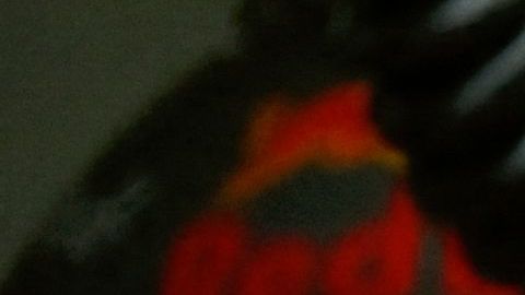 Daniel Ricciardo trabajaría como tercer piloto de la escudería Red Bull en 2023.
