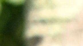 Biden habló sobre la investigación de la explosión causada por un misil en Polonia.