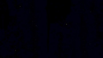 Trump dijo que "no ve ninguna razón" para volver a Twitter.