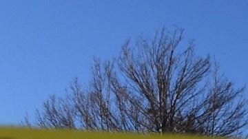 El tiroteo en Colorado Springs dejó cinco muertos y 18 heridos.