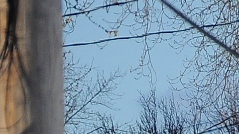 Empleado de la ciudad de Buffalo muere aplastado por camión oficial mientras ayudaba a retirar nieve