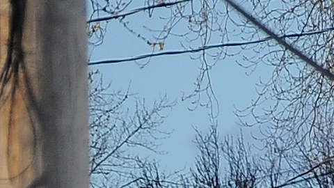 Empleado de la ciudad de Buffalo muere aplastado por camión oficial mientras ayudaba a retirar nieve