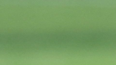 Cristiano Ronaldo disputará su quinta Copa del Mundo.