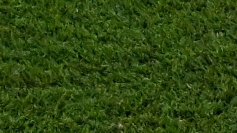 Guillermo Ochoa y Robert Lewandowski.