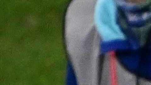 Selección de Costa Rica en el duelo ante Selección de España.