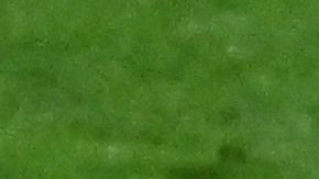 El defensor Kamal Miller tuvo culpa en el cuarto gol de Croacia en la goleada sobre Canadá en el Mundial Qatar 2022.