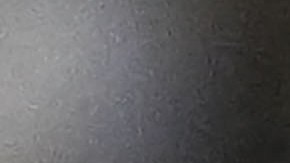 Gustavo Alfaro, seleccionador argentino de Ecuador.