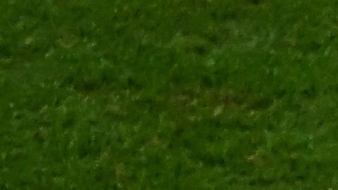 Qatar perdió los tres partidos.