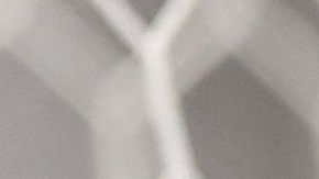 Christian Pulisic, delantero de la Selección de Estados Unidos.