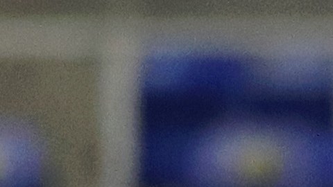 Veljko Paunovic, entrenador de las Chivas de la Liga MX.