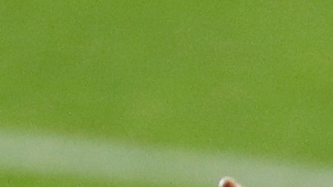 Sebastián Lletget