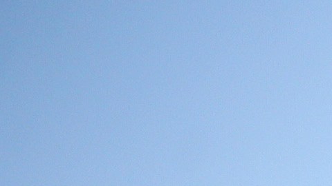 El Congreso aprobó la Ley Federal contra la Manipulación, que prometía hasta 20 años de cárcel para cualquier persona que fuera sorprendida manipulando medicamentos, alimentos u otros bienes de consumo.