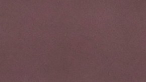 Dani Alves, jugador de la Selección de Brasil y Pumas UNAM.