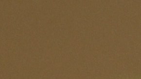 México impone Récord Guinness del guacamole más grande del mundo