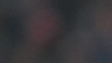 Robert Lewandowski celebra un gol con su selección.