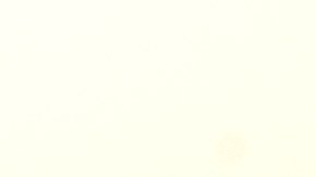 Balón utilizado en el Mundial Qatar 2022.