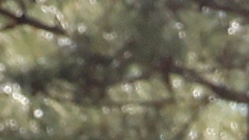 Luis Figo durante el tonero de golf Masters de Augusta 2022.