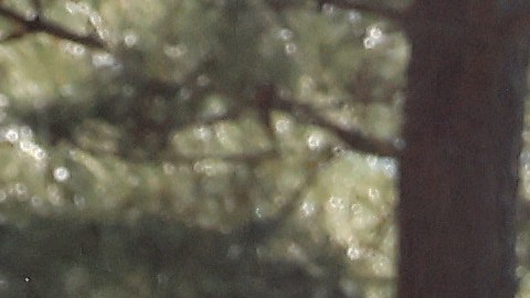 Luis Figo durante el tonero de golf Masters de Augusta 2022.