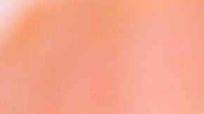 Esposa de Eduin Caz denuncia maltrato de aerolínea | Amy Sussman/Getty Images for Coachella.