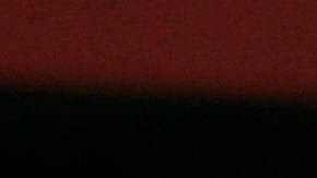 Antonio Mohamed, entrenador argentino.