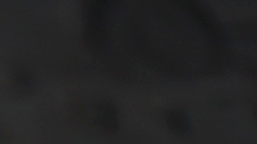 Desmantelan banda de millonario negocio ilegal de robo de convertidores catalíticos a nivel nacional