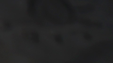 Desmantelan banda de millonario negocio ilegal de robo de convertidores catalíticos a nivel nacional