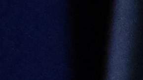 El gobernador republicano Mike Dunleavy fue reelecto en Alaska.