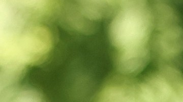 El senador Mark Kelly fue reelecto en las elecciones en Arizona.