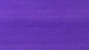 Ninguno de los candidatos al Senado en Georgia alcanzó el 50% de los votos.