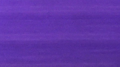 Ninguno de los candidatos al Senado en Georgia alcanzó el 50% de los votos.