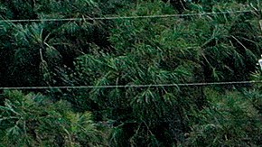 Casas derrumbadas en la playa al paso del huracán Nicole en Daytona Beach.