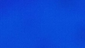 Biden participó en la conferencia climática COP27 el 11 de noviembre de 2022 en Sharm El Sheikh, Egipto.