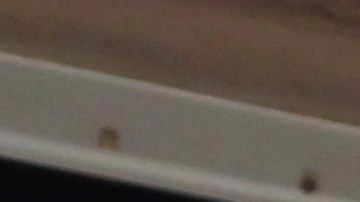 El piloto neerlandés Max Verstappen antes de correr el GP de Brasil 2022.