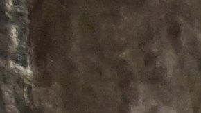 El pasado viernes 18 de noviembre, muchos usuarios reportaron problemas a la hora de comprar boletos para la próxima gira de Taylor Swift.