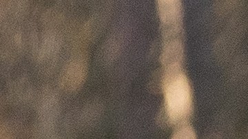 ¿Qué es Artículo 4 de OTAN que Polonia está considerando tras ataque de un misil de fabricación rusa?