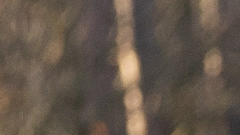 ¿Qué es Artículo 4 de OTAN que Polonia está considerando tras ataque de un misil de fabricación rusa?