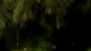 LOS ANGELES, CALIFORNIA - NOVEMBER 15: Union academic workers and supporters march and picket at the UCLA campus amid a statewide strike by nearly 48,000 University of California unionized workers on November 15, 2022 in Los Angeles, California. The strikers are calling for improved wages and benefits at the 10 UC public university campuses across California. (Photo by Mario Tama/Getty Images)