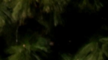 LOS ANGELES, CALIFORNIA - NOVEMBER 15: Union academic workers and supporters march and picket at the UCLA campus amid a statewide strike by nearly 48,000 University of California unionized workers on November 15, 2022 in Los Angeles, California. The strikers are calling for improved wages and benefits at the 10 UC public university campuses across California. (Photo by Mario Tama/Getty Images)