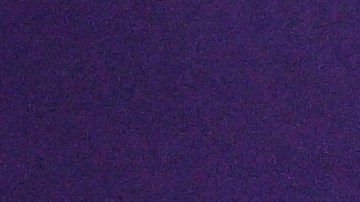 El entreandor Gustavo Alfaro y el jugador Moisés Caicedo en la rueda de prensa previa al debut en Qatar 2022.