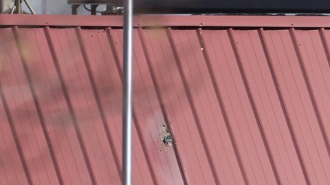El tirador de Colorado Springs mató a cinco personas en el Club Q.