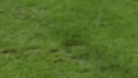 Gareth Bale, jugador de LAFC celebrando un gol en contra de la Selección de Estados Unidos.