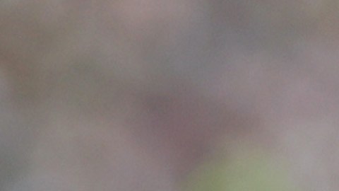 Lionel Messi durante el partido de Argentina ante Arabia Saudita en Qatar 2022.